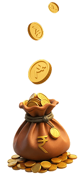money bag img